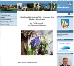 zur Website